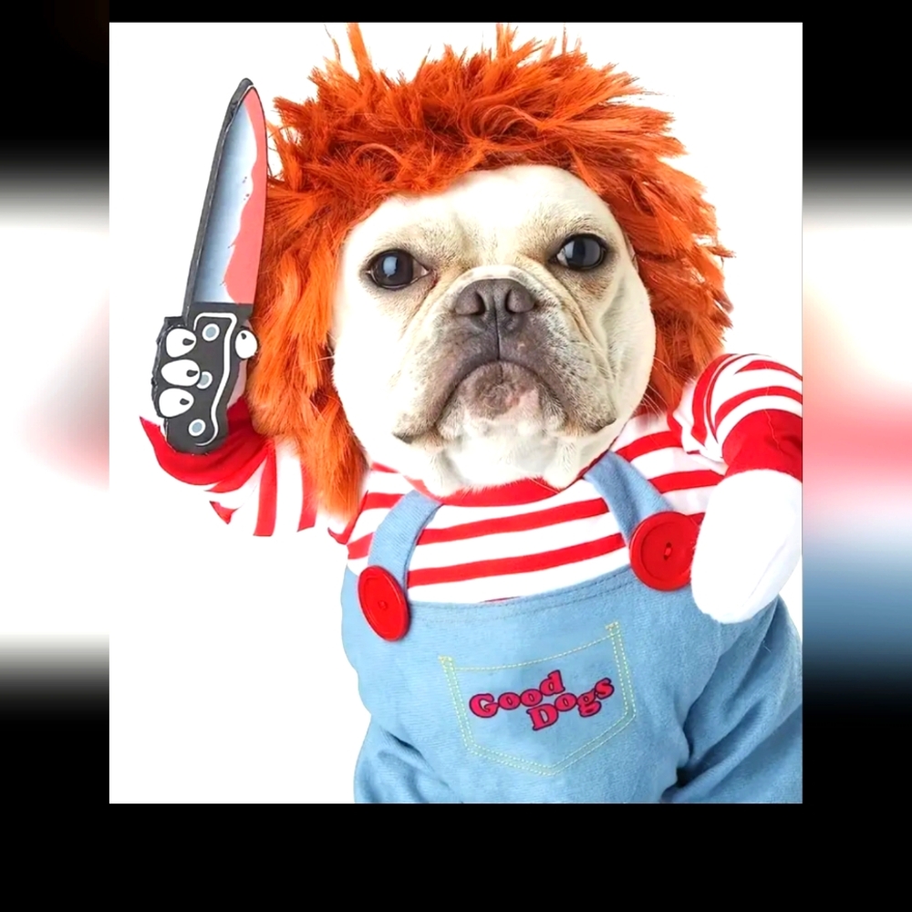 DOG HALLOWEEN COSTUME